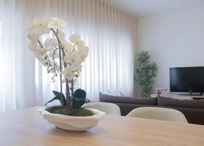 Quinta Conchas Ii Lissabon